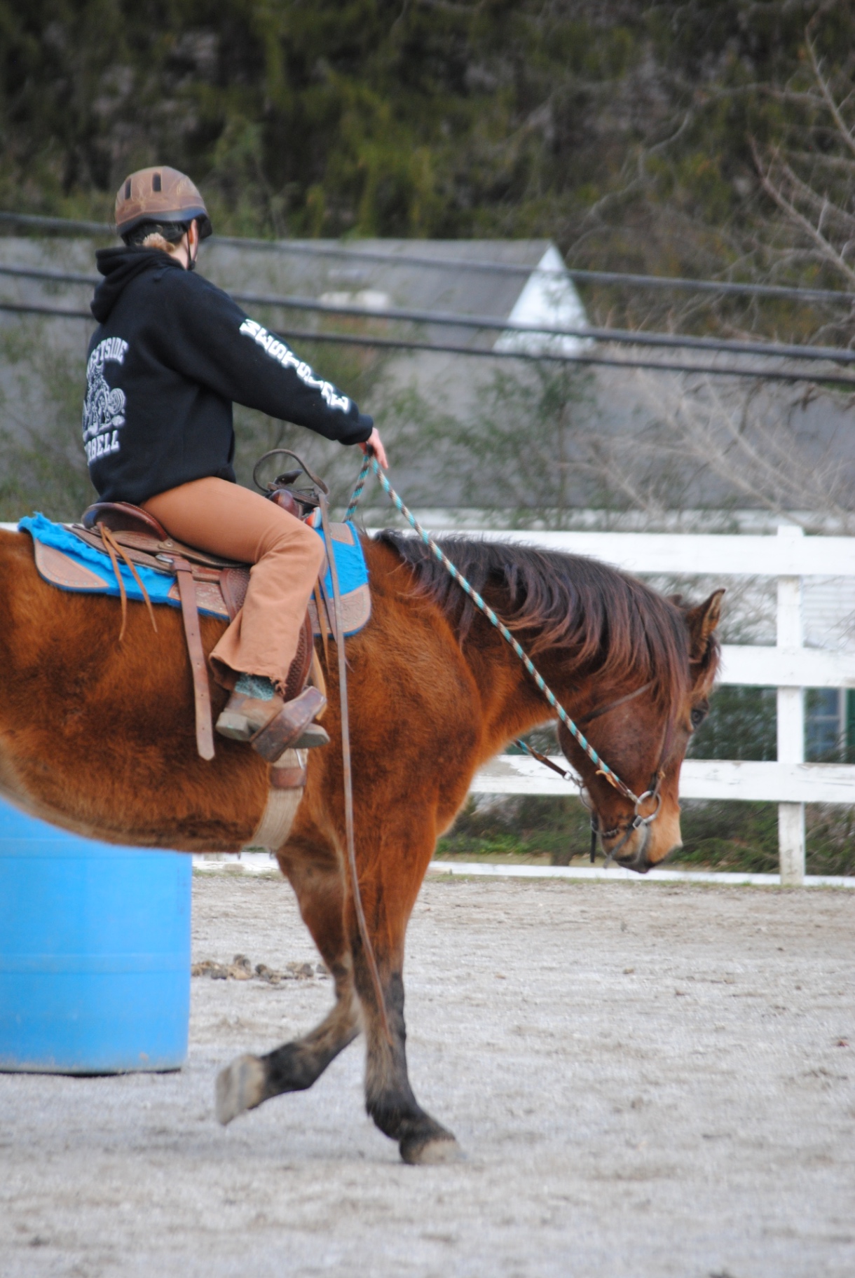Walking the horse out in the arena
