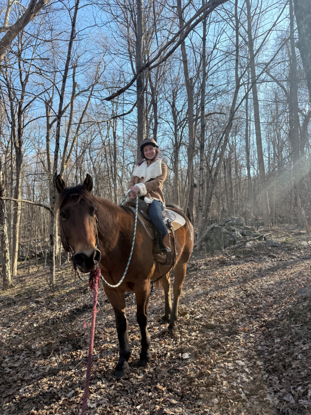 Sunlit forest trail ride