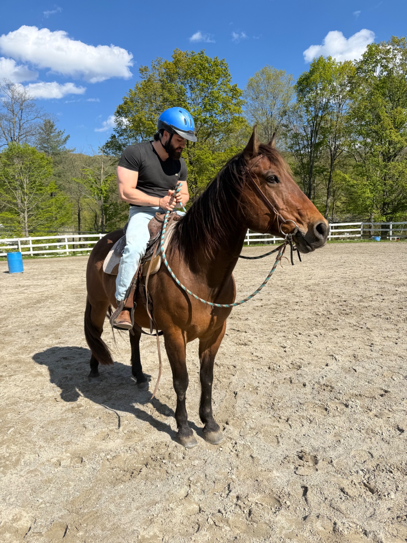 Gentle arena riding lesson on a bay horse
