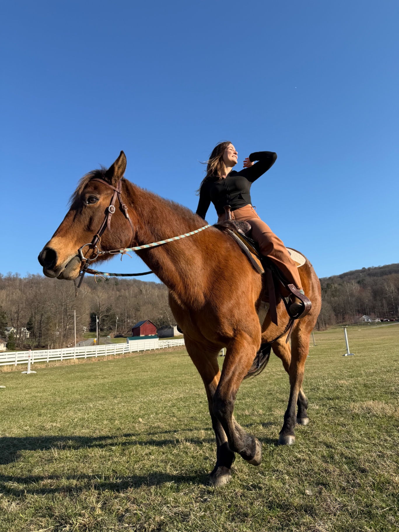 Rider on horseback in an open field under blue sky