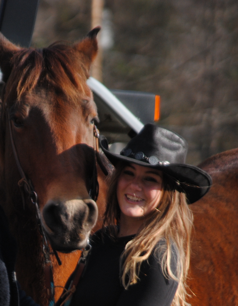 Building a bond with a horse from the ground